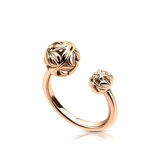 Разомкнутое кольцо FLORA